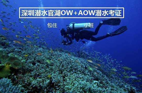 《逆水寒》共战新纪元活动玩法介绍