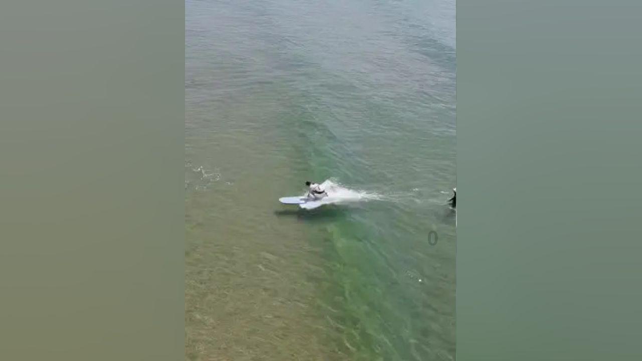 虫虫助手下载